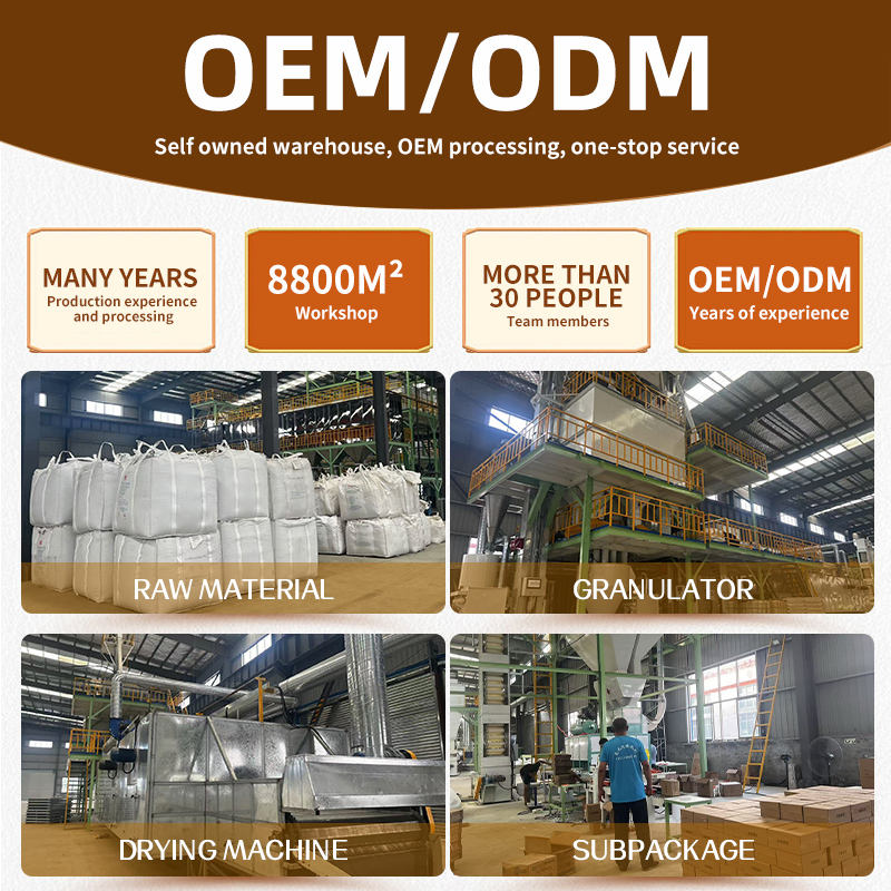 Guding Pet raw material, granulation, drying and packaging production areas